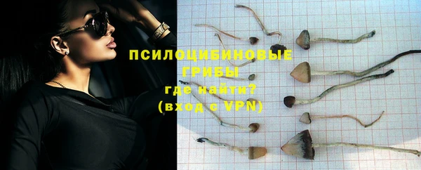 MDMA Premium VHQ Кодинск
