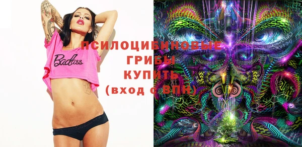 ПСИЛОЦИБИНОВЫЕ ГРИБЫ Козельск