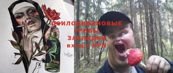 ПСИЛОЦИБИНОВЫЕ ГРИБЫ Козельск