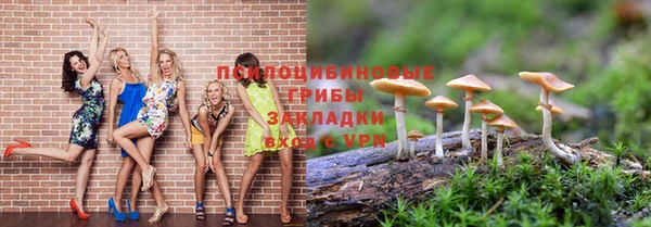 ПСИЛОЦИБИНОВЫЕ ГРИБЫ Козельск