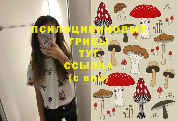винт Корсаков