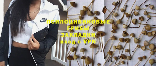 мяу мяу мука Козловка