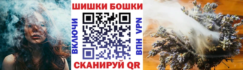 Купить закладки  Бологое  Конопля SATIVA & INDICA 
